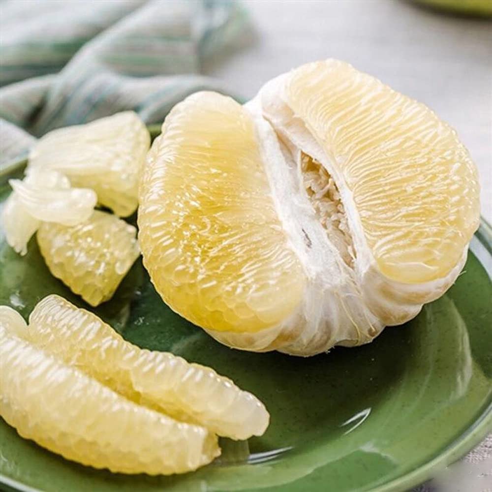 20pcs Sweet Giant Pomelo Citrus Tree Seeds Yellow Thai Pomelo Pummelo Citrus Maxima Grandis Buy