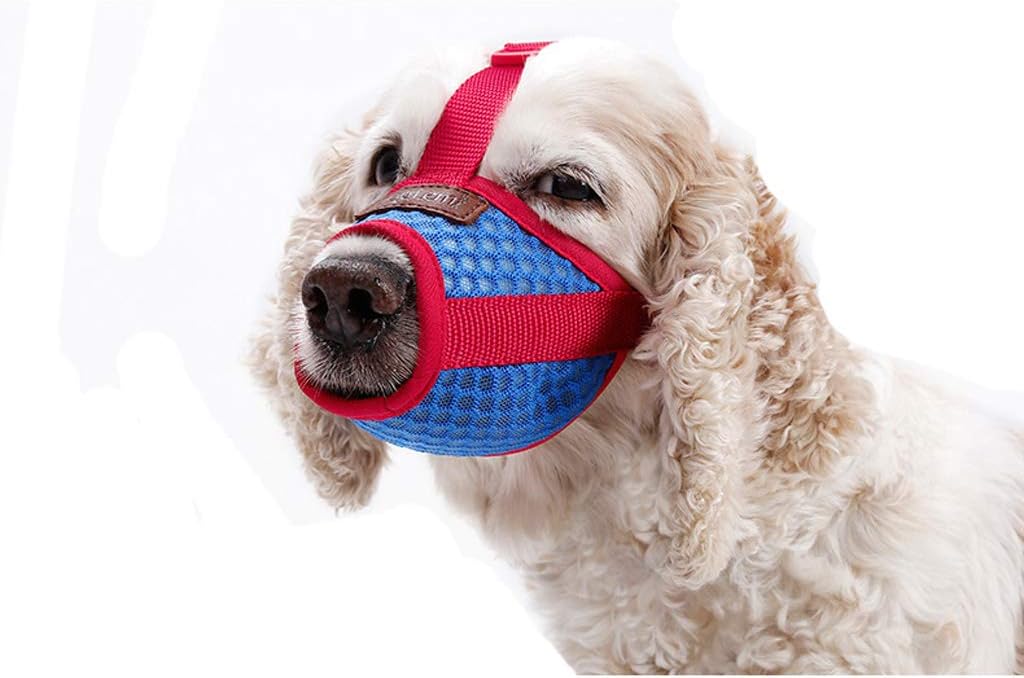 soft muzzle for cocker spaniel