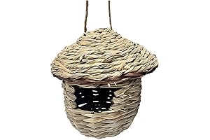 Paw Hut Charming Hummingbird House for Outdoors