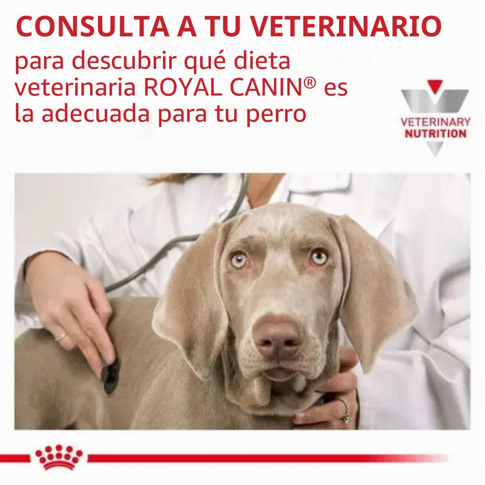 Royal Canin Veterinary Gastrointestinal Low Fat | 6 kg | Pienso Completo para Perros Adultos | Alimento seco para Ayuda digestiva | Bajo Contenido en Grasas