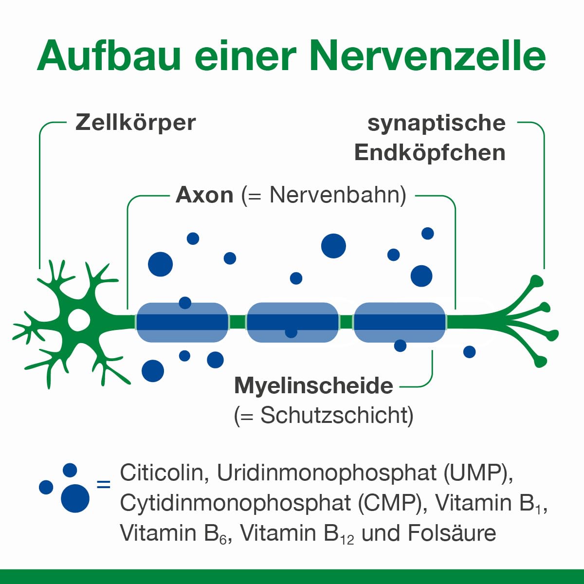 neuroLoges concept Kapseln, 60 Sztuka Kapsułki