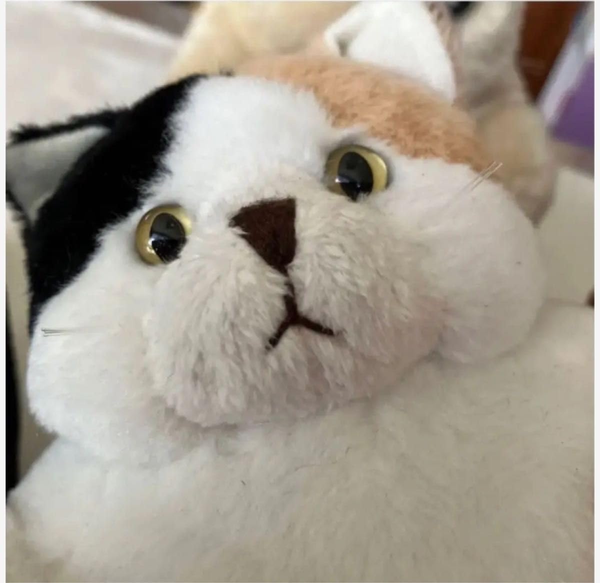 でぶねこ　こてつ　こすず　こばん　こはく　4匹　猫　ぬいぐるみ　マスコット　レア Amazon.co.jp: でぶねこ こてつ こすず こばん こはく 4匹 猫