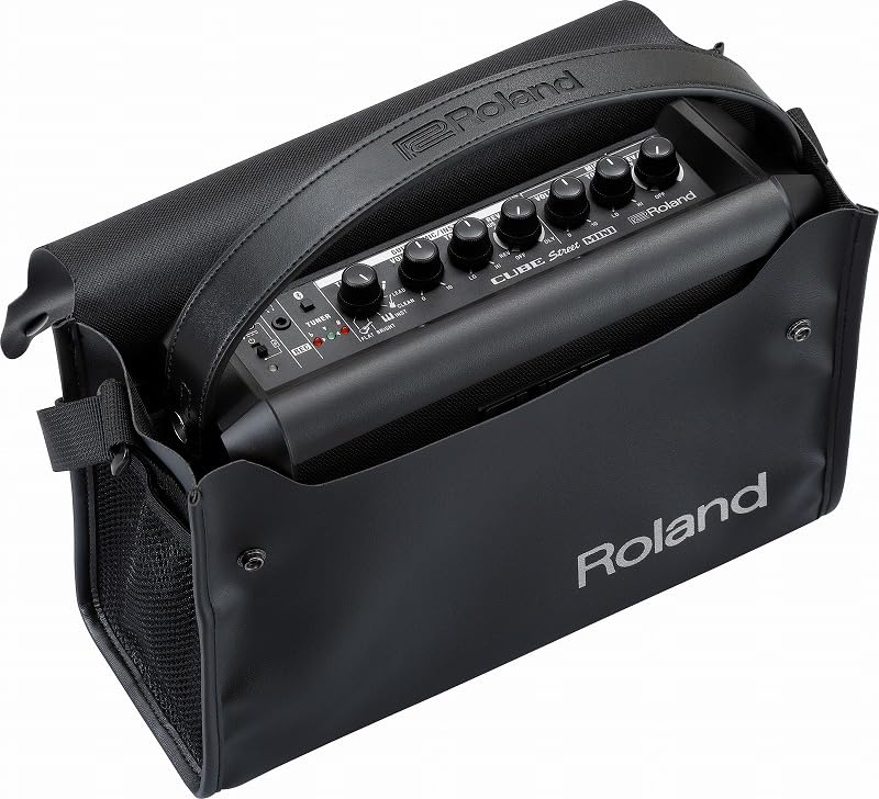 Amazon.co.jp: Roland/CUBE Street MINI Multi-Instrument Battery