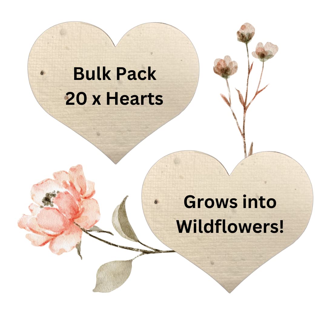 20 Plantable Seed Hearts. Wildflower Seeded Paper Shapes. Bulk Pack White Seed Card Hearts. Eco Friendly. DIY Wedding Favours Confetti. Card Making. Craft & Party Activities. Funeral Memorial.