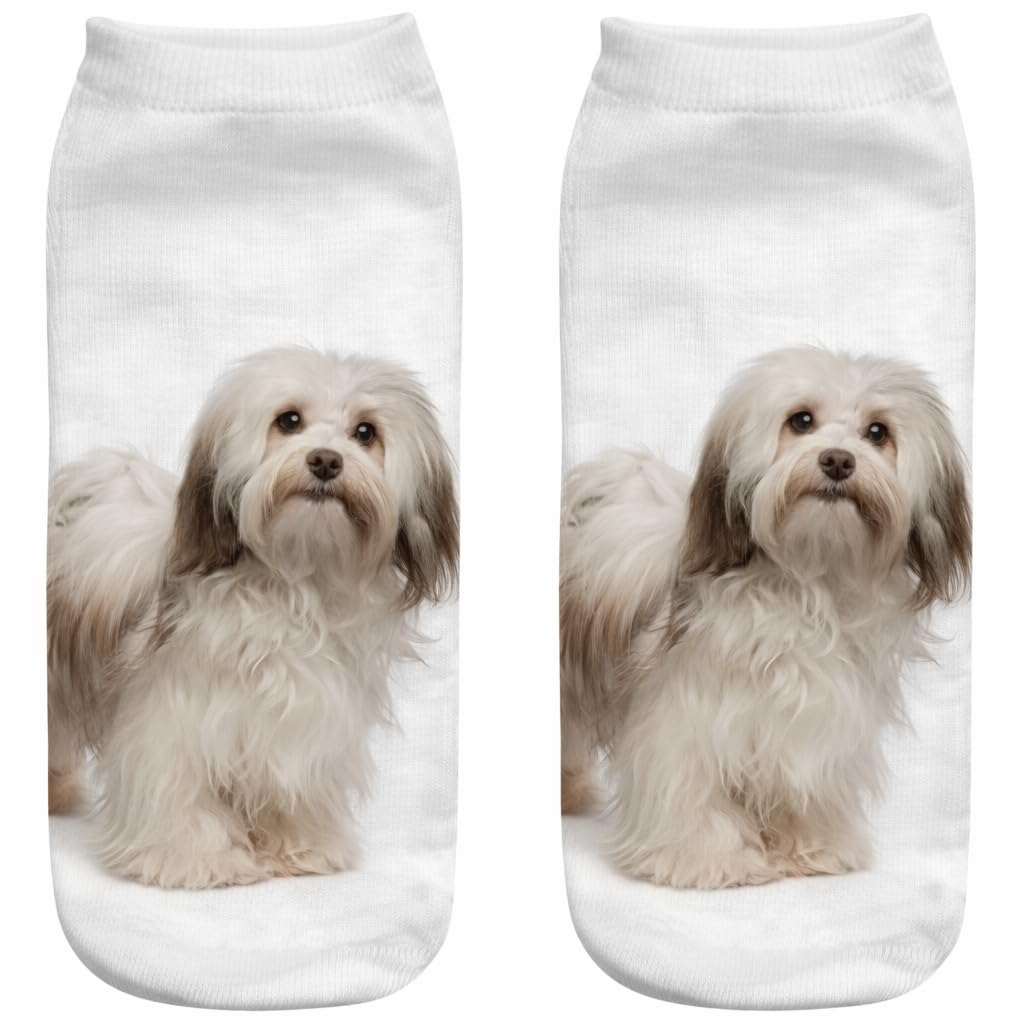 Furever Gifts Unisex Multicoloured Havanese Dog Trainer Socks One Size Polyester 1 Pair