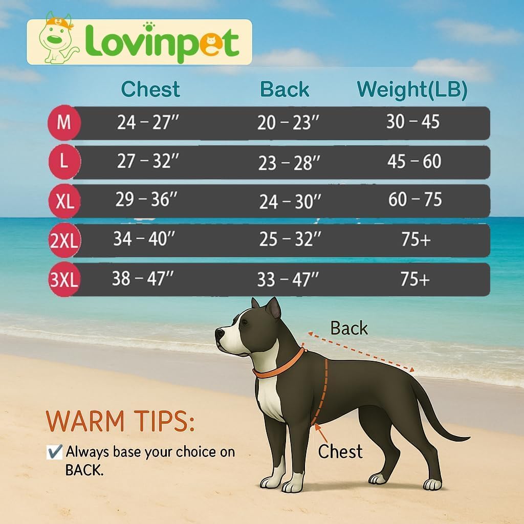 LovinPet Post-Spay Recovery Bodysuit for Female Dogs, Solid-Color Surgery Suit with Cushioned Belly Panel, Easy Snap-Back Cover for Large Dogs, Black, XXL