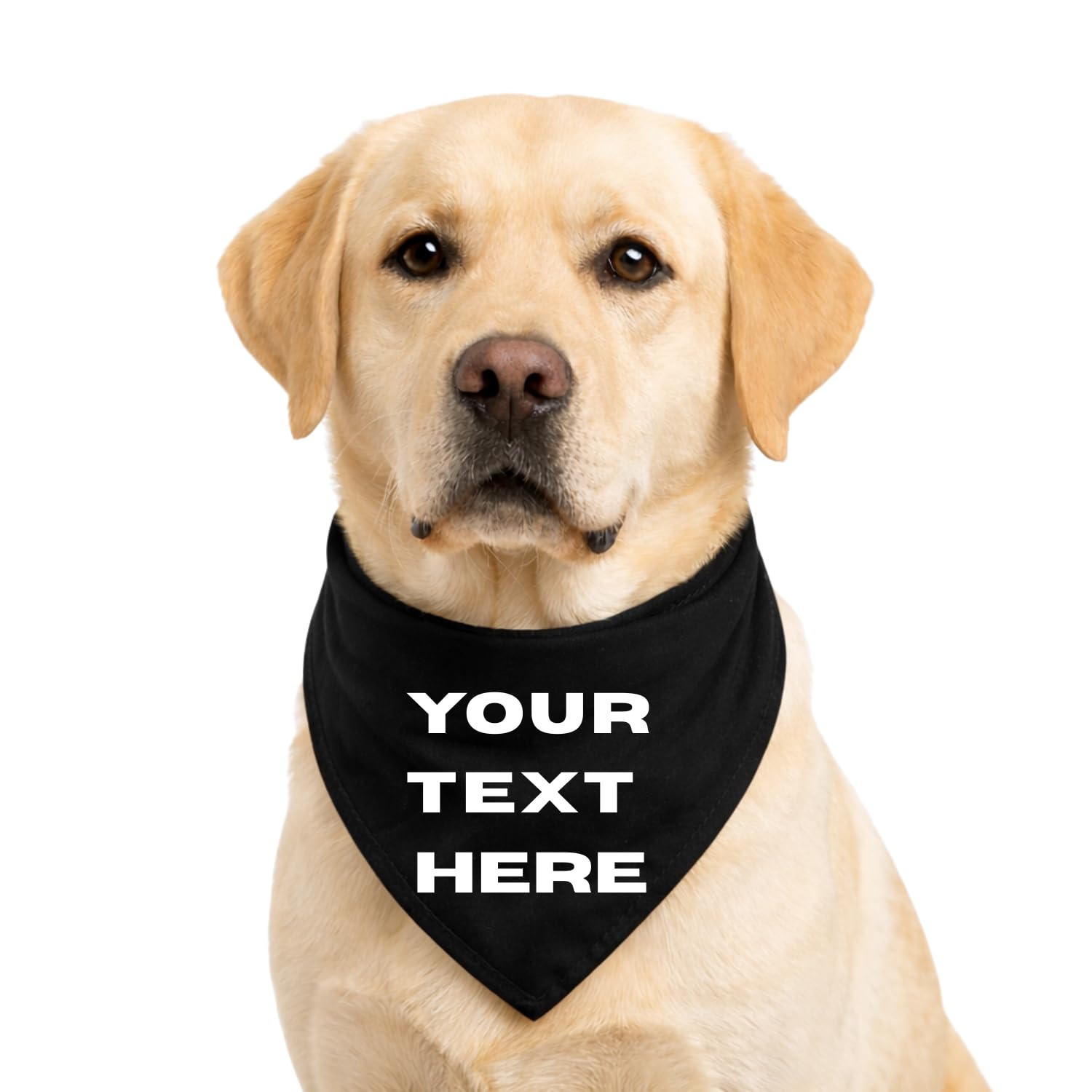 Personalised Pet Bandana, Choose Bandana, Font & Vinyl Colour, Custom Scarf for Cat Dog Bandana Personalised Puppy Gift in (S/M: 15-35cm)