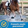 Farnam Fluidflex Liquid Joint Supplement for Horses, Helps Maintain Healthy Hip & Joint Function, 32 Ounces 32 Day Supply