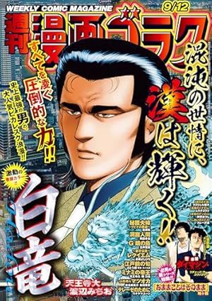 週刊漫画ゴラク増刊 Hacker ハッカー No.21 22 週刊漫画ゴラク増刊 Hacker ハッカー No.21 22 本