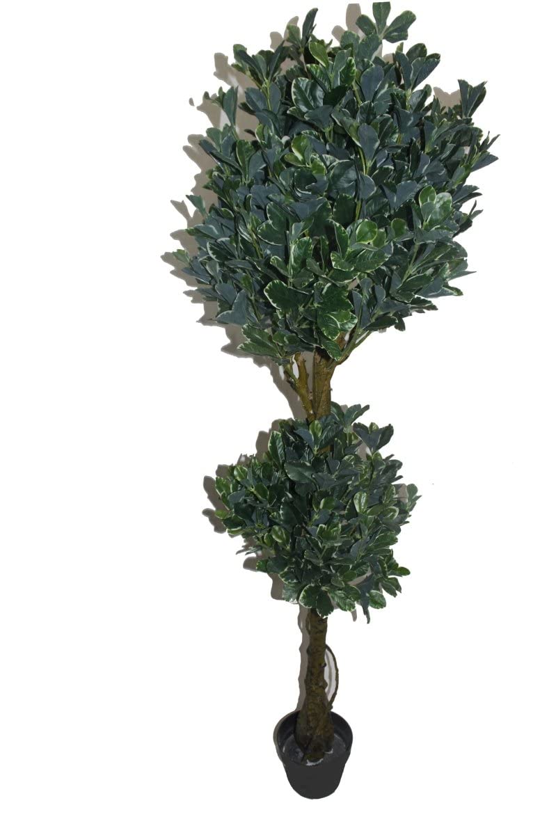 Jeco HD-BT146 59 in White Edge Fortune Tree