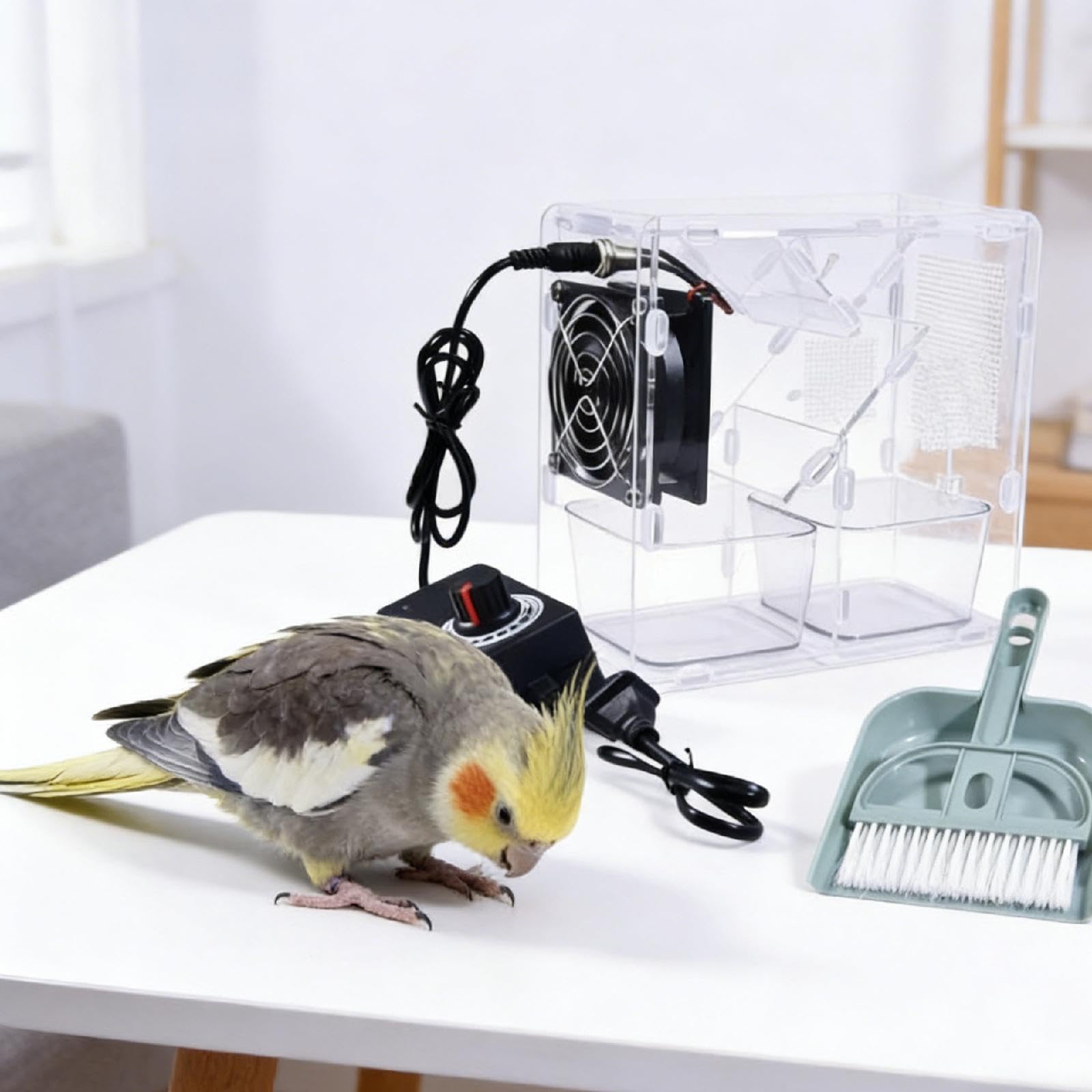 Machine de soufflage de Grains pour Oiseaux, séparateur de Polyvalent pour Aliments pour Oiseaux, avec Pelle