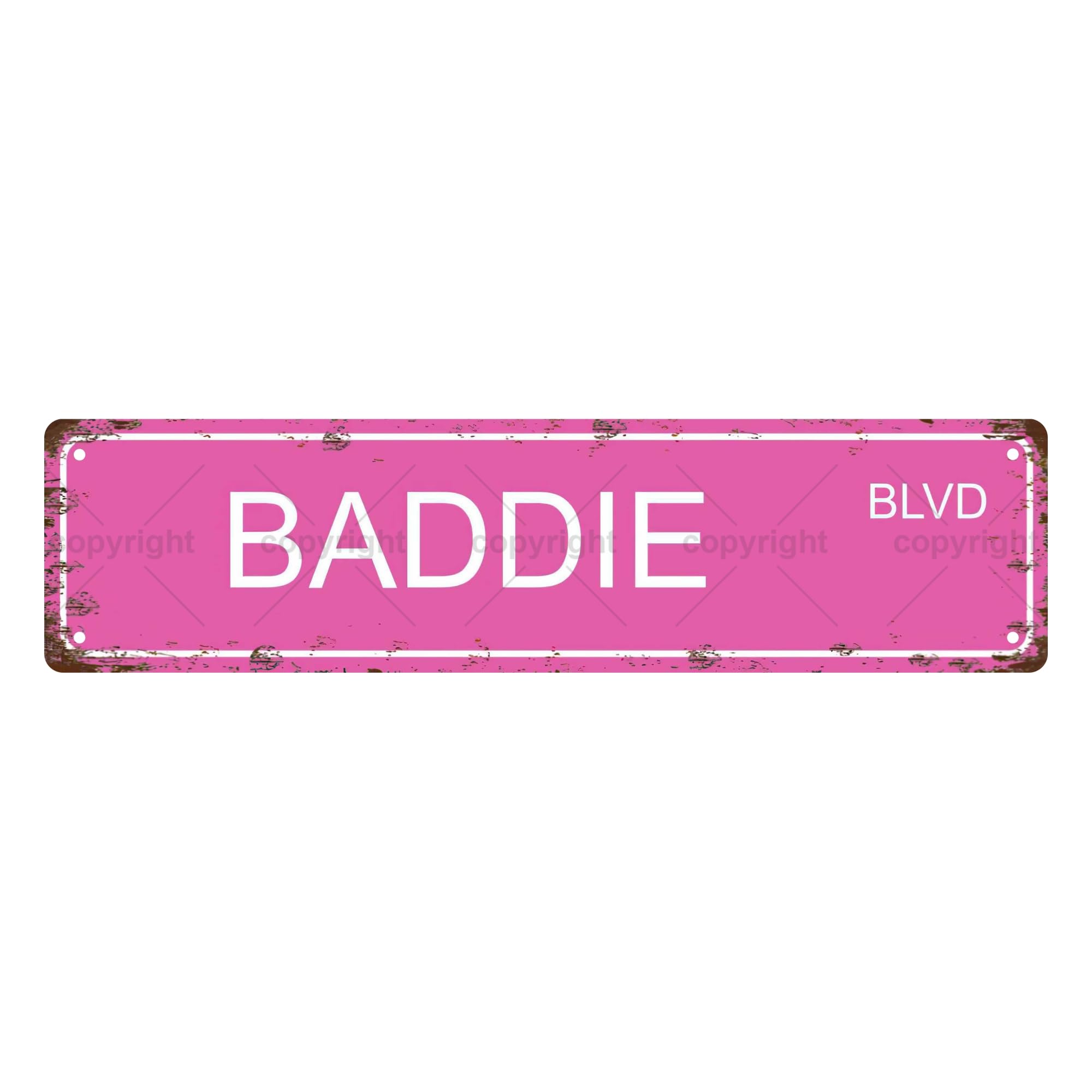 Baddie BLVD People Metal Tin Street Sign Bar Cafe Garage Cave Home Room Wall Bathroom Farmhouse Garden Porch Patio Decor,4x16 Inch