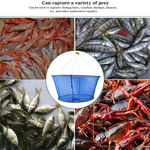 Drasry Portable Folded Fishing Net, Hand Casting Cage Crab Net For Minnows, Crab, Lobsters, Fishes Fish Trap (31.5 * 23.6In(80 * 60 Cm), Blue Grid) #TOP5