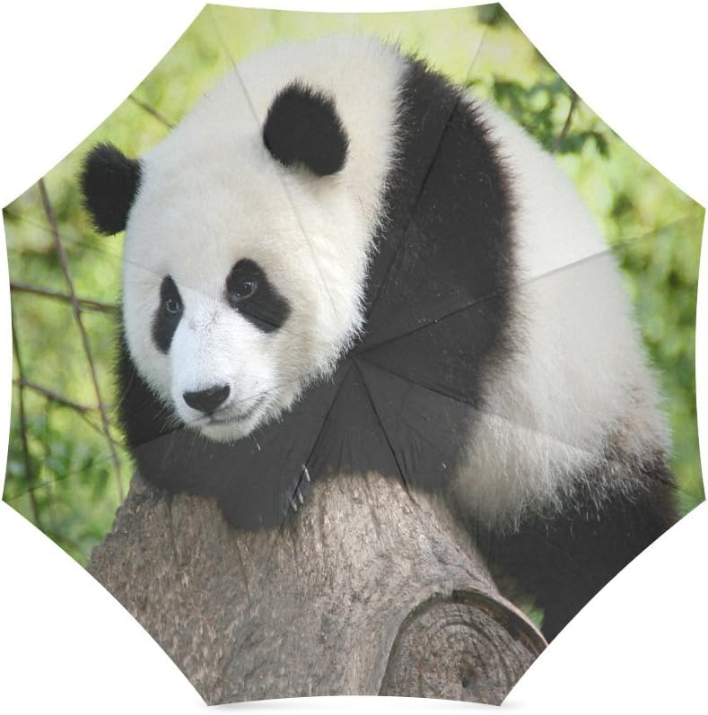 Lovers/Wife/Husband Gifts Presents Cute Panda With Bamboo Drawing Pattern 100% Fabric And Aluminium Foldable Umbrella