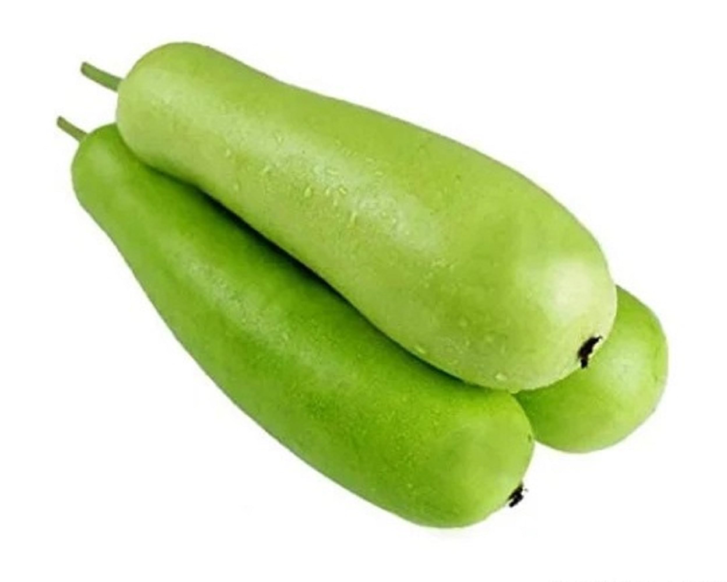 Eazyroot Laukee/Bottle Gourd Vegetable Seeds (Pack of 5 seeds) | Fresh Vegetable Hybrid Seed | Leafy Vegetable Seeds for Home and Terrace Gardening (B0CK5KSYXR) Amazon Price History, Amazon Price Tracker