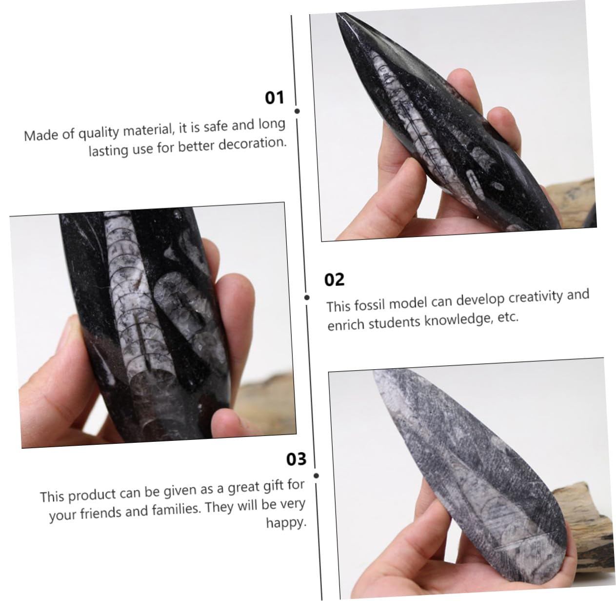Uonlytech Fósil Orthoceras Grande para Paleontología, Muestra Natural de Paleo-océano, Modelo Educativo Decorativo para Escritorio, Pieza Única de Colección Científica, Fósil