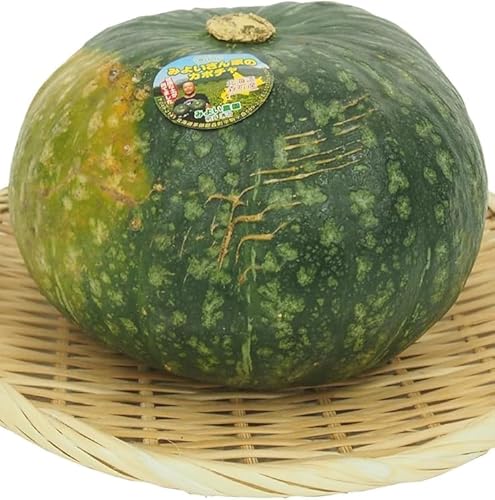 xW^un[g 񂩂ڂ 1.5kgO×4 kCY _͔| Zx̂ڂ Î悤ȃzNzNH