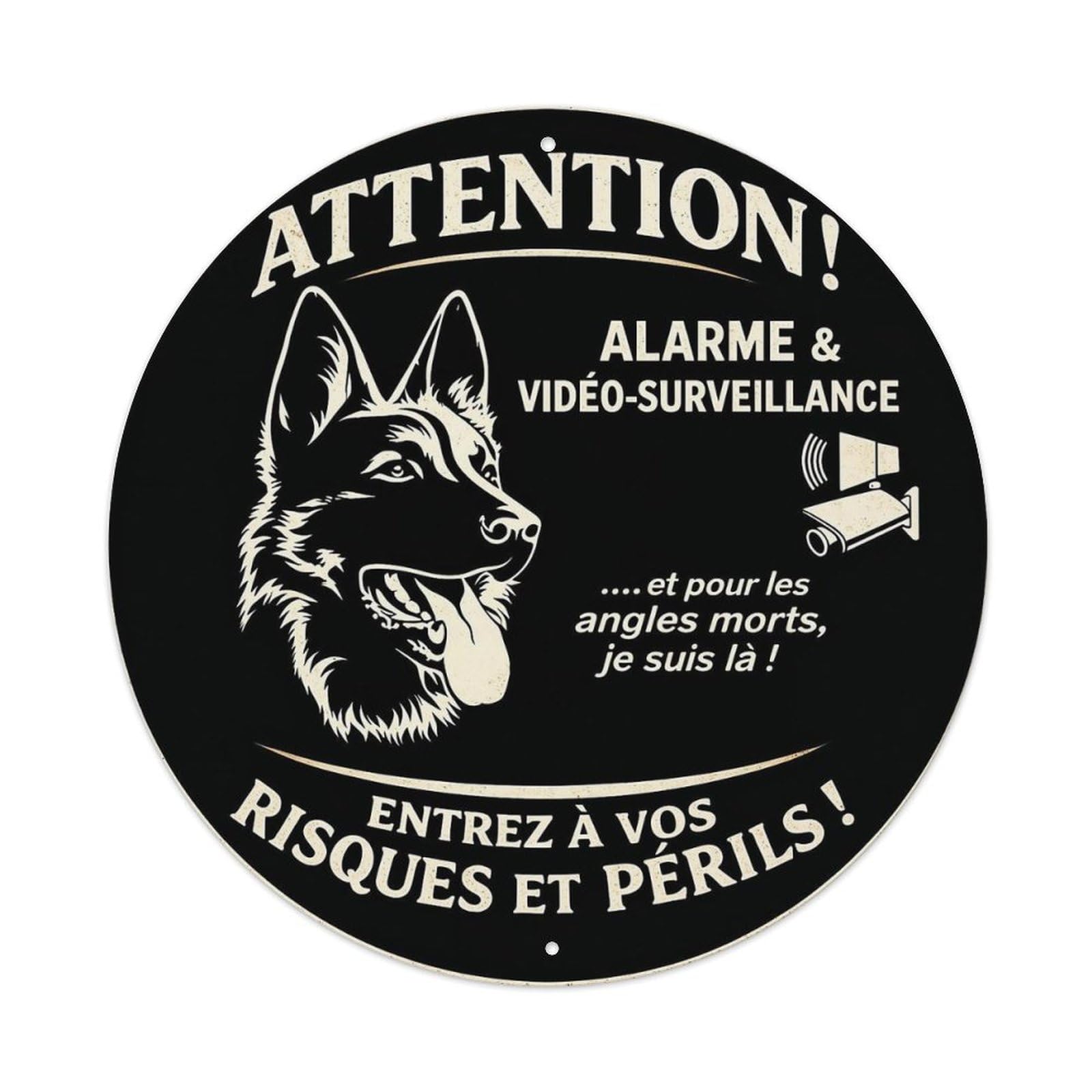 Attention Alarm Video Surveillance Dog Warning Metal Tin Sign Plaque