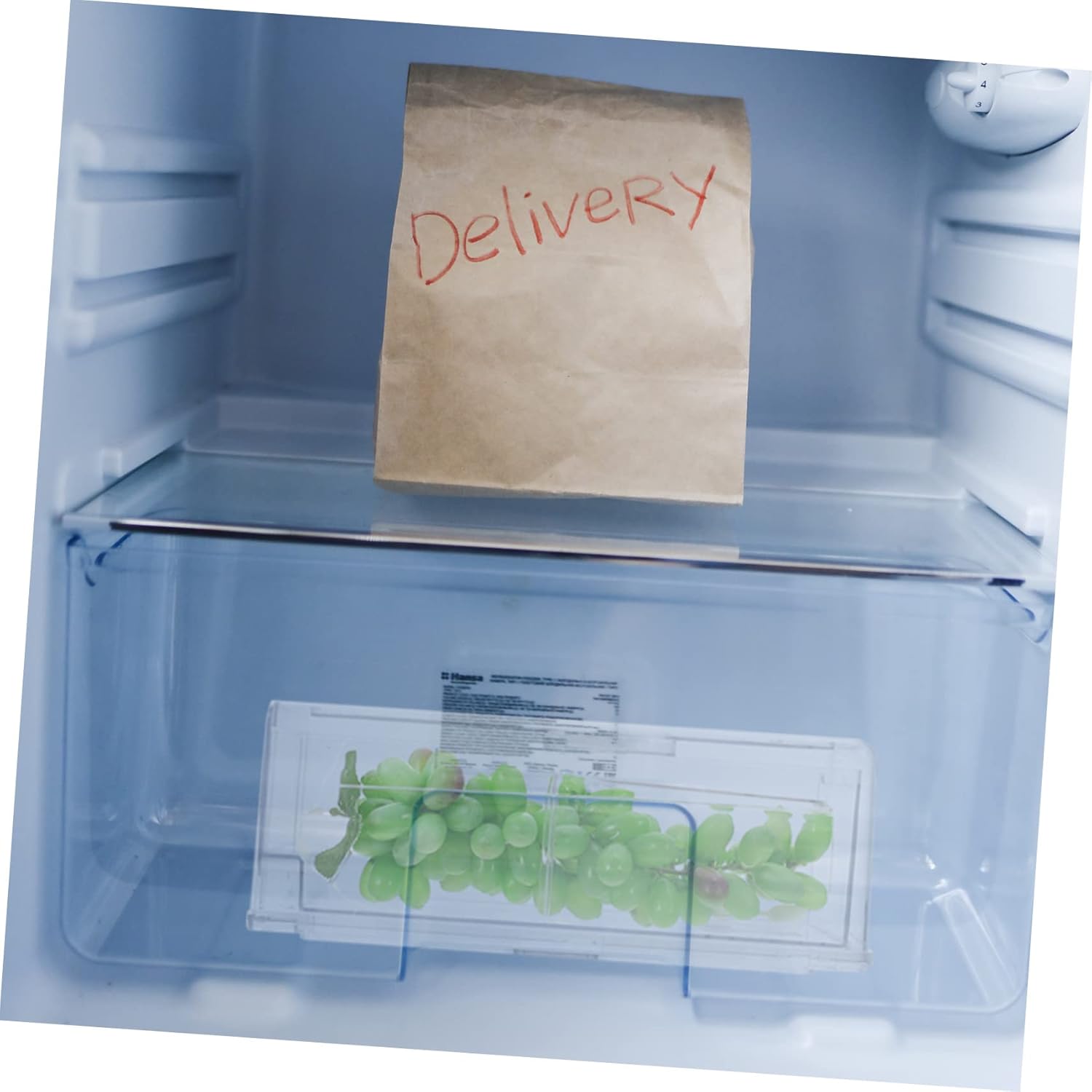 Egg Storage Drawer Refrigerator Vegetable Bin Crisper Bins for Fridge Fridge Organizers and Storage Food Container