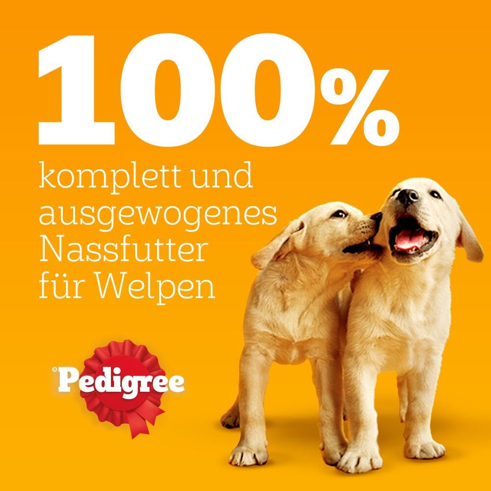 PEDIGREE Junior Multipack Gemischte Selektion in Gelee Hundenassfutter im Portionsbeutel für junge Hunde 4 Varietäten 84 x 100g
