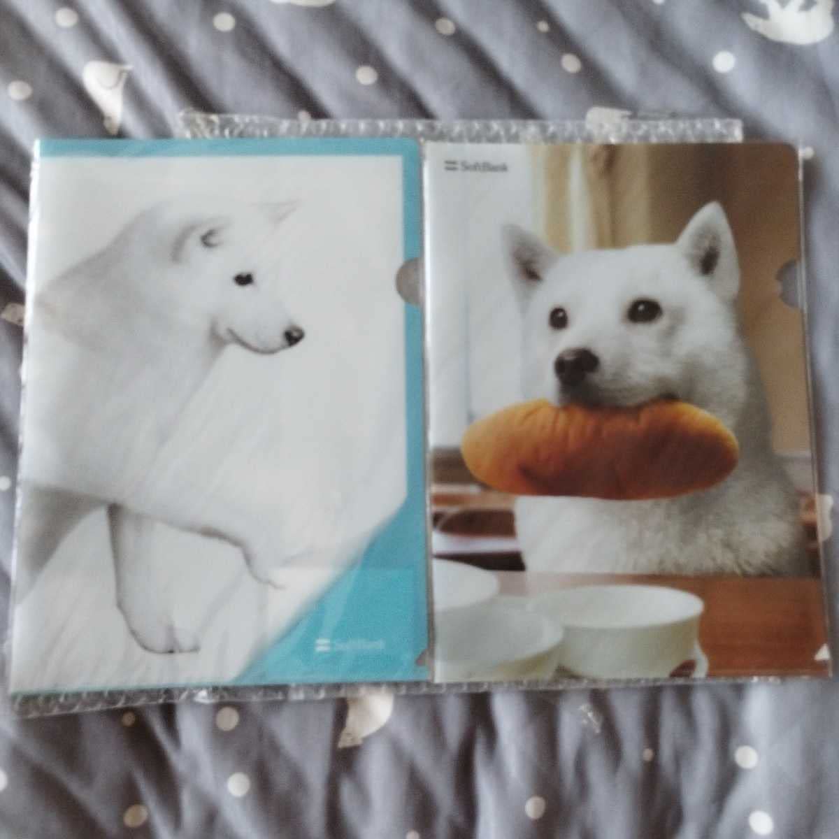 Dad Dog Clear File 2 Softbank Softbank A4 Clear File