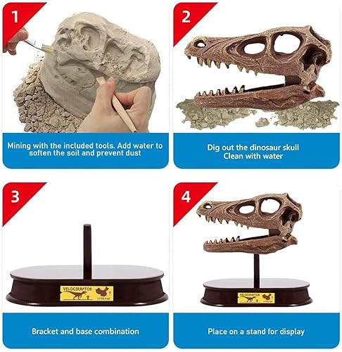 Miniatura 4 de ArtCreativity Kit de excavación de dinosaurios para niños, juego de excavación de calavera de velociraptor con herramientas y soporte de excavación