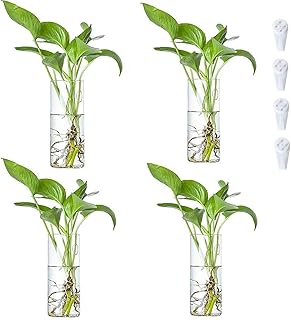 Bigsee 4 Pcs 7.5" Wall Hanging Planters Glass Terrariums - Cylindrical Plants Holders Air Plants Succulents Planters Flowe...