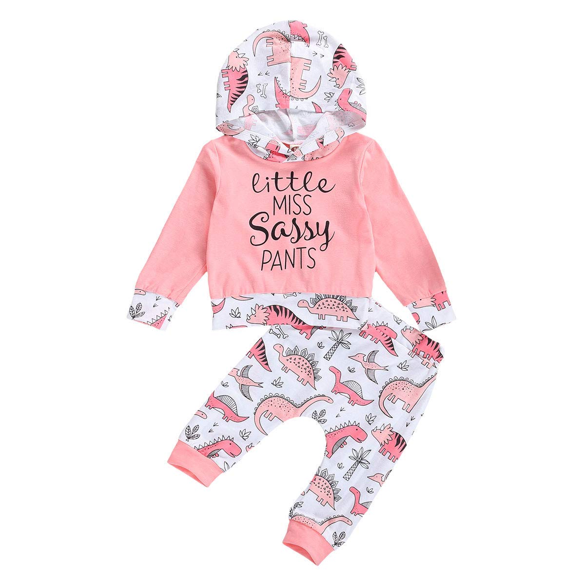 Baby Girls Clothes Newborn Girl Outfits Infant Girl Hoodie Tracksuit Floral Long Sleeve Tops Long Pants Set Baby Girls Gift