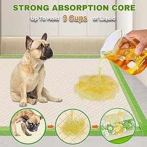 Pee Pads for Dogs Extra Large 28x34 Xl Thicker Eco Green Disposable Xlarge Puppy Training Pads Super Absorbent Full Edgewrapping Pad for Dogs Puppies Doggie Cats Rabbits30 Count  Cucciolini Doodles Pee pads for dogs extra large 28x34 xl thicker eco green disposable xlarge puppy training pads super absorbent full edge wrapping pad for dogs puppies doggie cats rabbits 30 count   cucciolini doodles