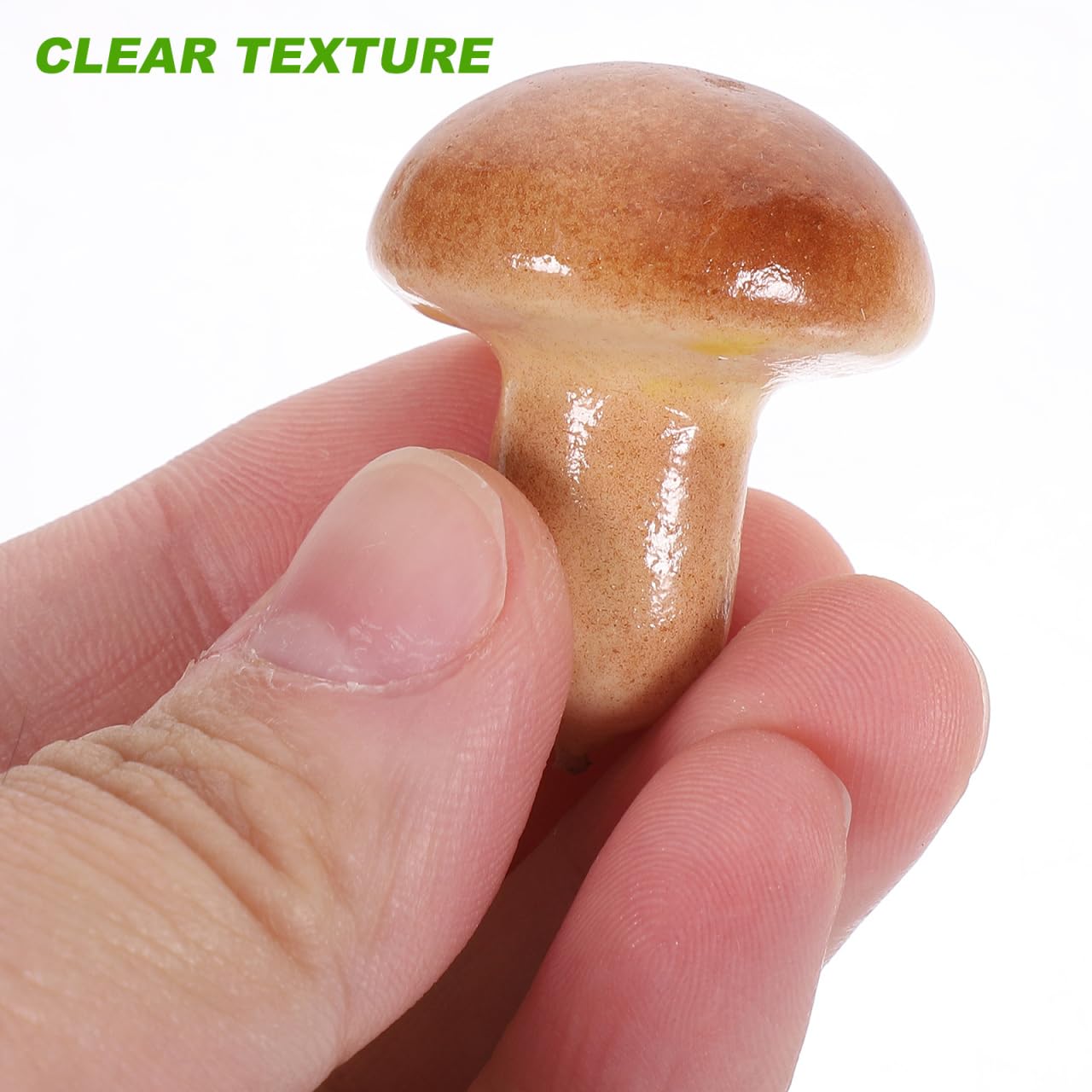 GLEAVI Modèles De Champignons Simulés Miniatures 20 Pièces Décoratifs pour Photo Bureau Et Enseignement Accessoires Multifonctionnels