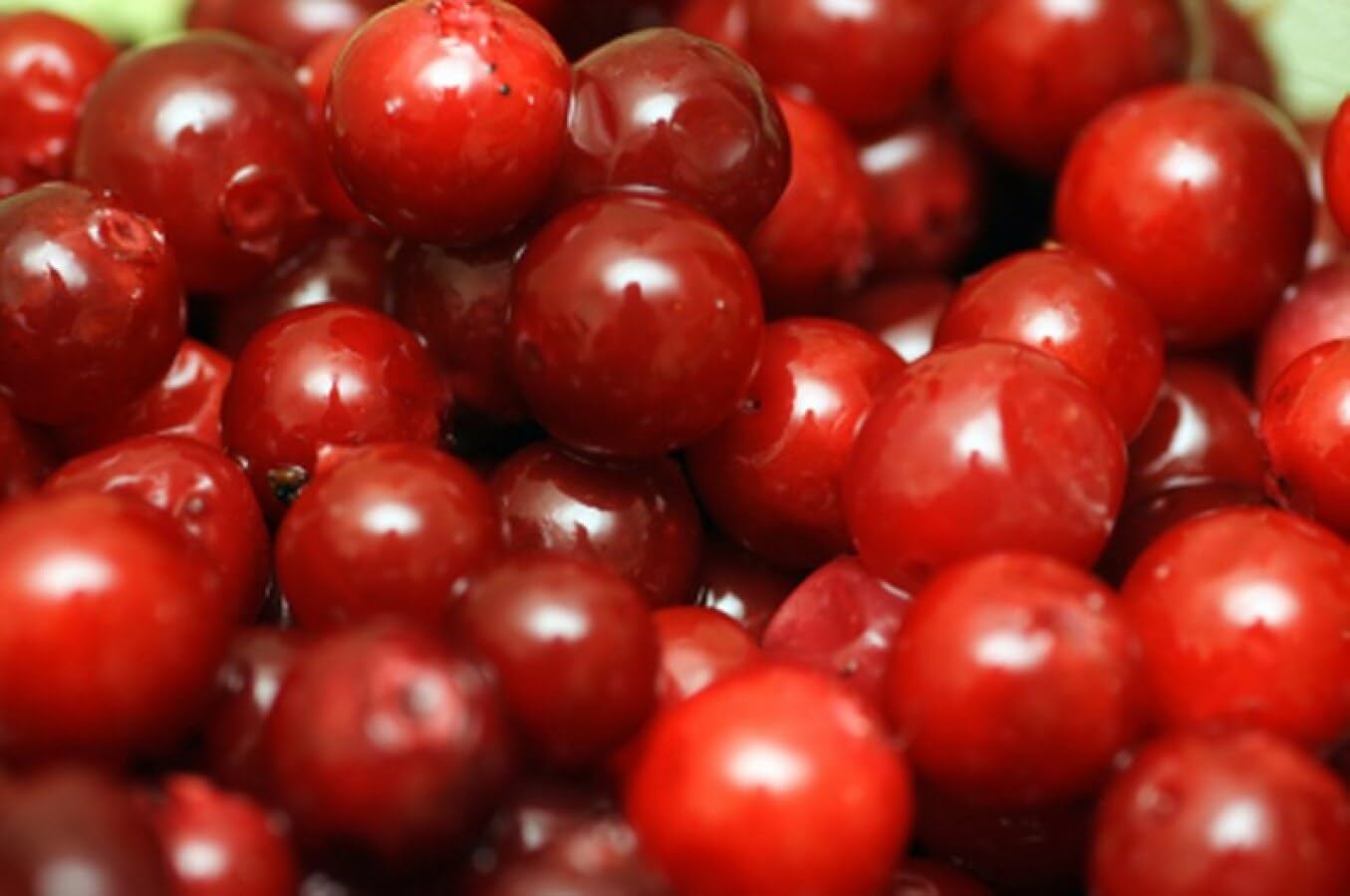 Wild Canadian Lingonberries, Frozen, 5 lb Unit, Juicy and Less Tart, Ideal for Jams, Sauces, and Culinary Creations