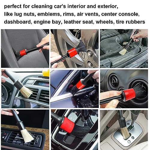 10 Pcs Boar Hair Detailing Brush Set