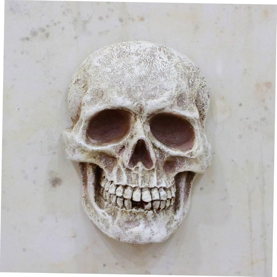 Amazon.co.jp: WRITWAA 頭蓋骨の装飾品 スカルウォールアート