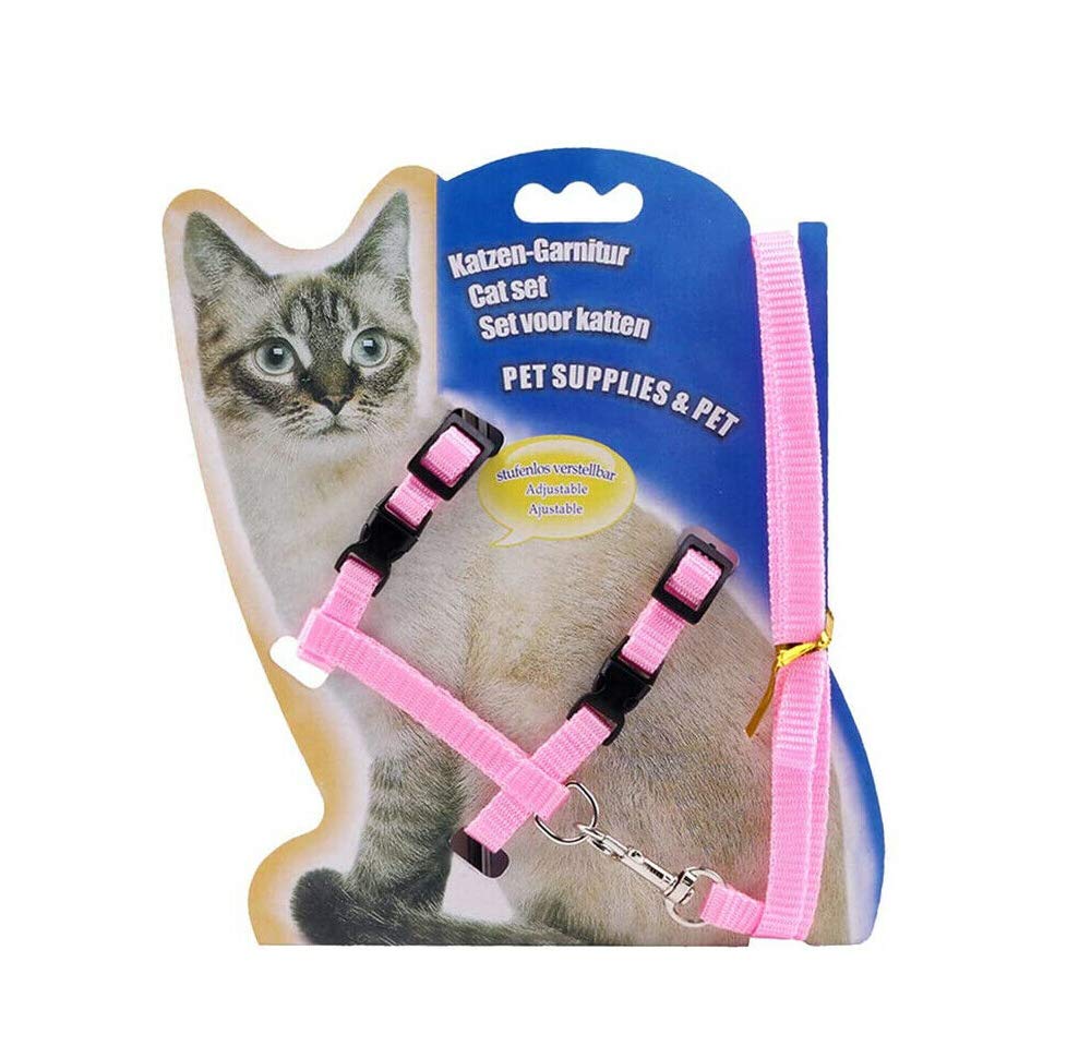amazon cat harness and lead