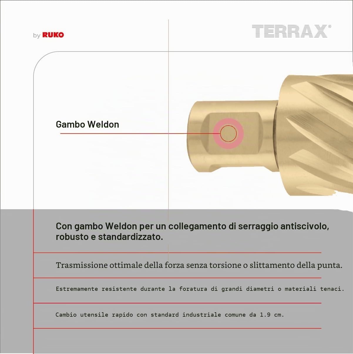 TERRAX Set di Punte a Corona HSS-TiN 7 Pezzi con Attacco Weldon 3/4″ – Rettificate CBN, Rivestimento Titanio, con Espulsore, in Cassetta Industriale