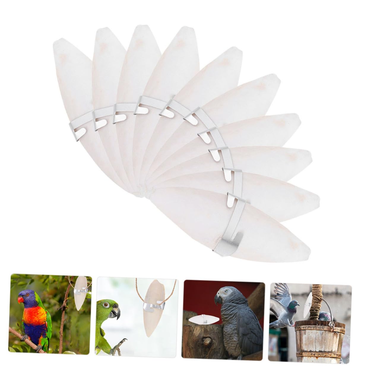 BESPORTBLE 50pièces Jouets à Mâcher pour Oiseaux Complément Calcique De Seiche pour Perruches Et Hamsters Jouets Amusants à Mâcher avec Clips De Fixation
