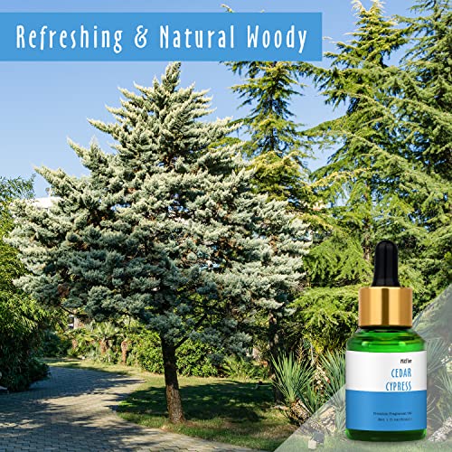 Image of MitFlor - Cedar Cypress Fragrance Oil, 30ml, for Diffuser, Candle, Soap