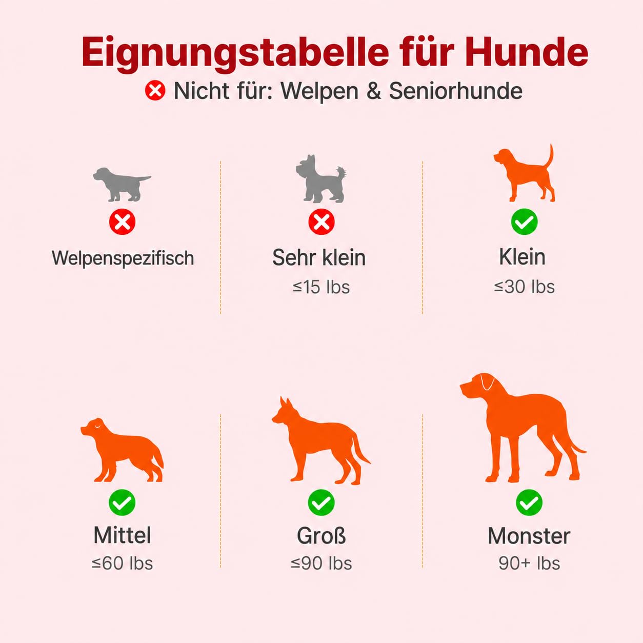 Potaroma Hunde-Kauspielzeug Krokodil, Nylon, Rindfleisch, Petrol/Schwarz | Ca. 23,6 × 7,6 × 4,6 cm; für kraftvolle Kauer ab ca. 27 kg; nicht für Welpen oder kleine Rassen; unterstützt Zahngesundheit