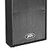 Peavey DJ 2-Way 100 Watt PA Speaker System with 10