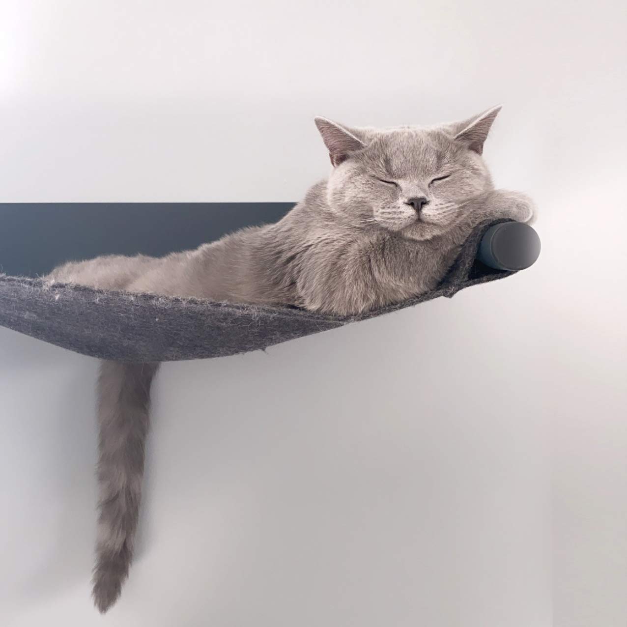 LucyBalu® Swing Hamac Mural pour Chat en Feutre Naturel I Anthracite