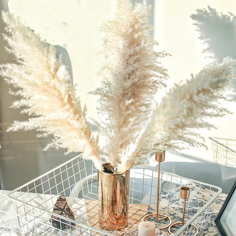 Pampas Grass Large 60cm Fluffy Tall Pampas Decor (5pcs) miniatura 4