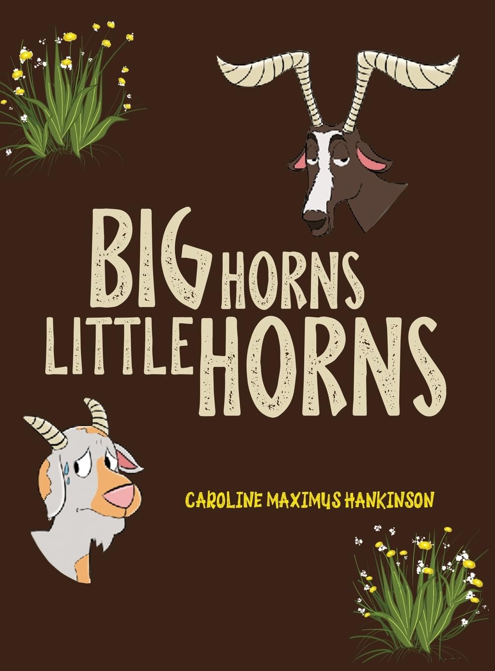 Big Horns Little Horns