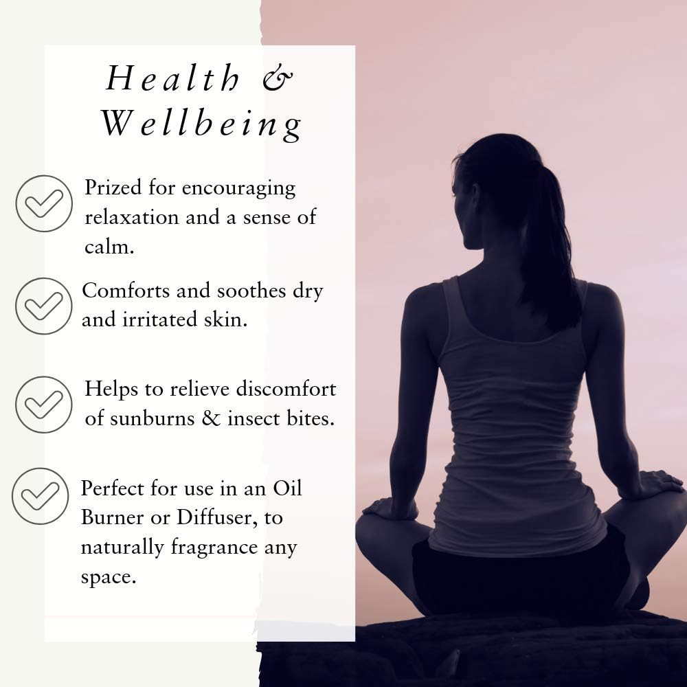 Absolute Aromas High Altitude Lavender lavandula angustifolia Essential Oil 100 Pure Natural Vegan Undiluted and CrueltyFree for use in Diffusers Oil Burners and Aromatherapy Blends, 10 Millilitre