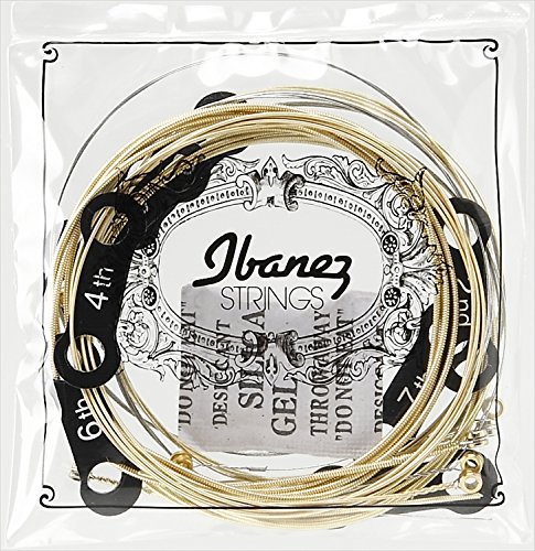Ibanez IACS12C Cordes pour Guitare Acoustique - Les Beatles, Paul McCartney, John Lennon, RIngo Starr, George Harrison Ibanez IACS12C Cordes pour Guitare Acoustique – Image 4