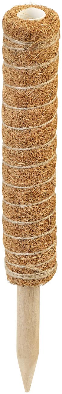 Royal Gardineer Pflanzstäbe Monstera: 16er-Set Rankhilfen aus Kokosfaser & Holz, 2x40 cm, 2x30 cm,Juteschnur (Rankhilfe Pflanzstab, Rankhilfen Zimmerpflanzen, Wein)
