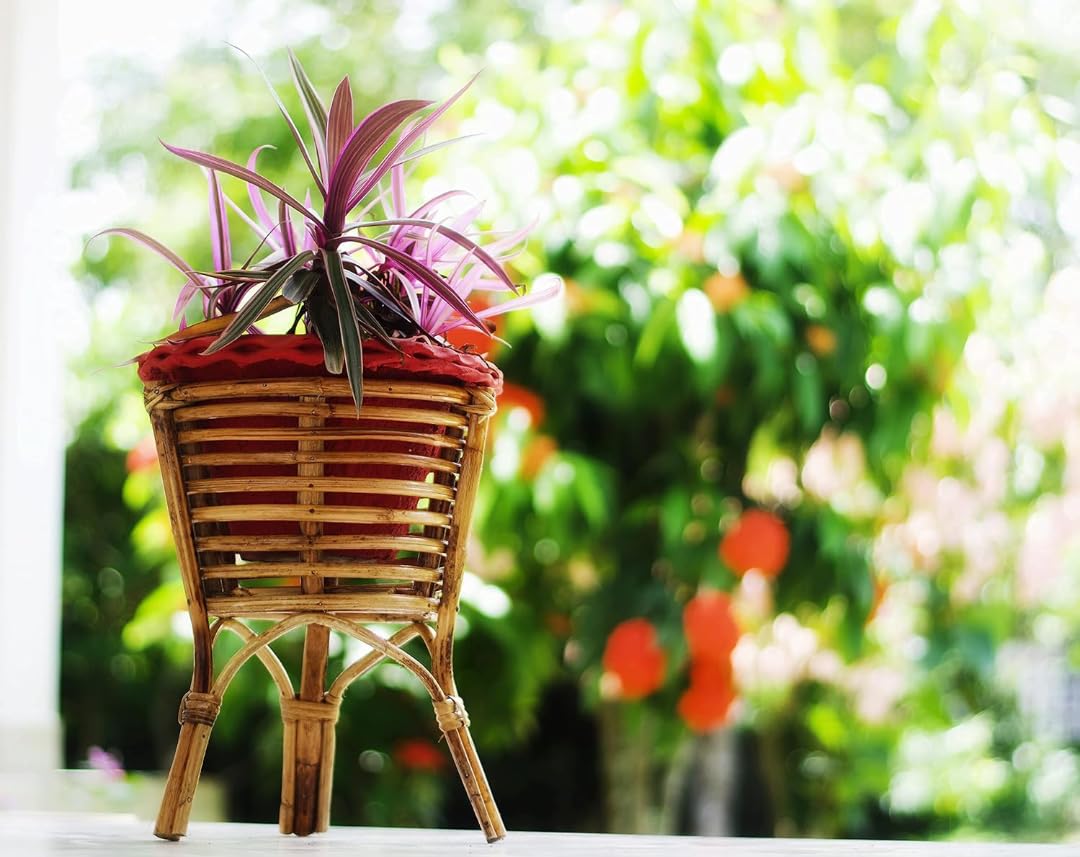See full amazon price history chart for BCF Bamboo Craft, Handcrafted Cane Planter Stand Flower Pot Stand Planter for Patio Living Room Balcony Caf? Garden Decoration Color-Beige (Round) BCF Bamboo Craft, Handcrafted Cane Planter Stand Flower Pot Stand Planter for Patio Living Room Balcony Caf? Garden Decoration Color-Beige (Round) (B0BXKSKVRP) Amazon Price History, Amazon Price Tracker