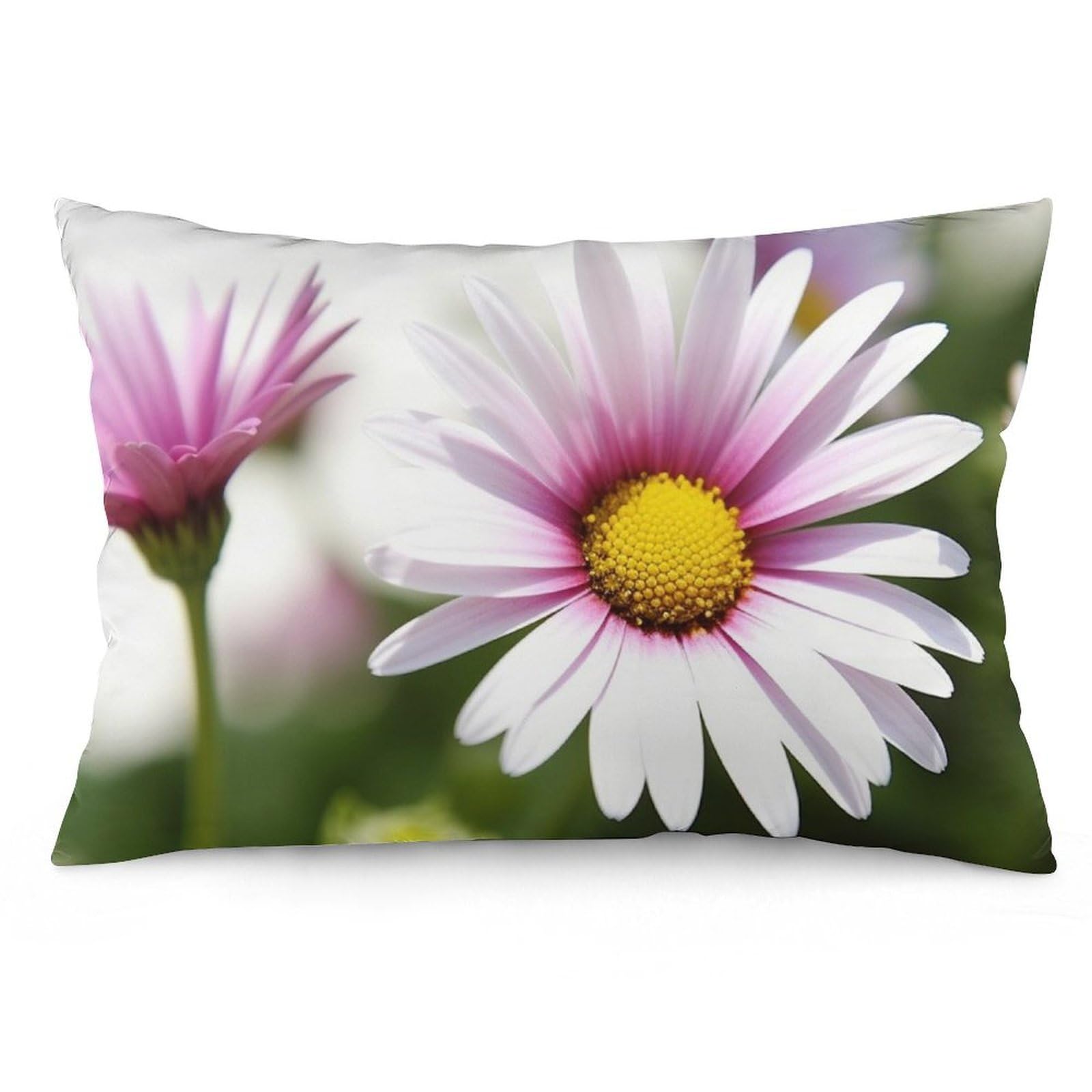 NTVOWPZO 2 Pack Decoration Throw Pillow Covers 12 "x20 Pillowcases Covers Daisy Flower Pillowcases Modern Farmhouse Home Decor Sofa Cushions Covers for Couch Bed Living Room