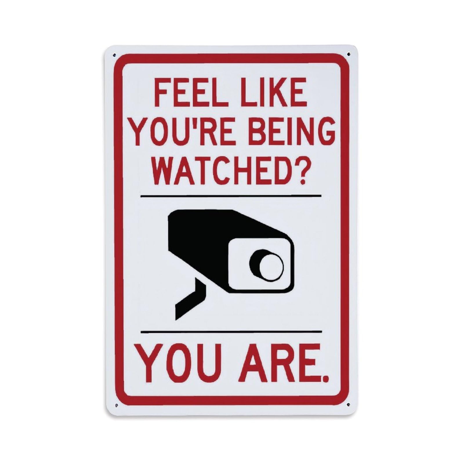 Funny CCTV Surveillance Warning Wall Plaque Vintage Aluminium Metal Sign, Retro Wall Decor for Home, Bar, Garage & Farmhouse 30x20cm