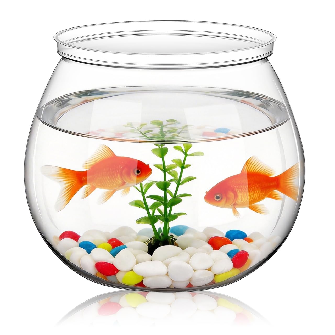 Aquarium de bureau rond en plastique pour poissons rouges et plantes