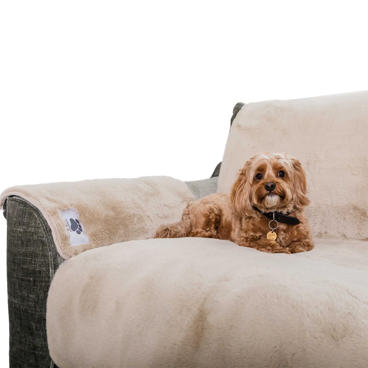 Pet Rebellion Sofa Cover for Dogs and Cats | Absorbent, Non-Slip, Machine-Wash Furniture Protector, Soft Plush Comfy Snuggle Rug for Pets (Stone, 1 x Sofa Cover & 1 x Sofa Arm Cover)